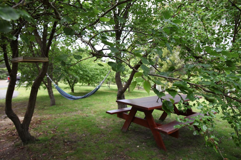 Tranquil Point Guest House Cygnet Ngoại thất bức ảnh
